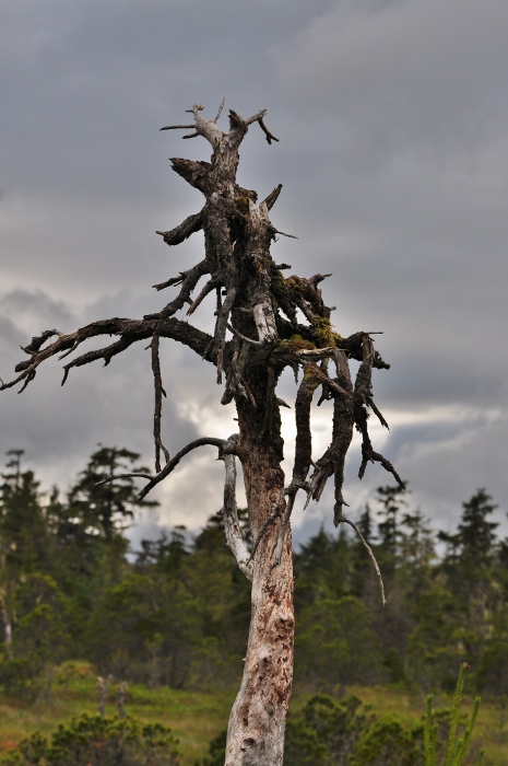 Hungry Point Trail